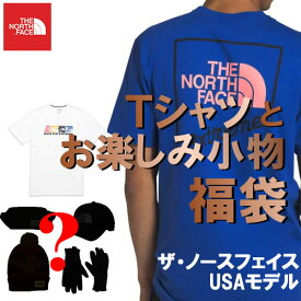 The North Face USAモデル ノースフェイス メンズ Tシャツと秘密の小物 お楽しみ福袋【ad1524】q