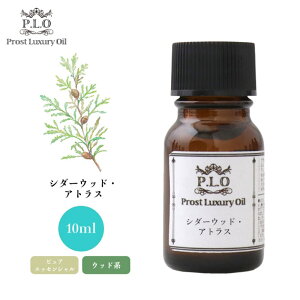 Prost Luxury Oil V_[EbhEAgX 10ml sA GbZVIC A}IC 