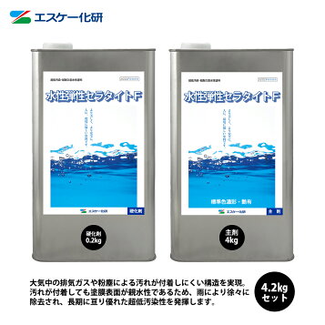 楽天市場】レナエクセレントA ローラー用 18kg エスケー化研 【法人 