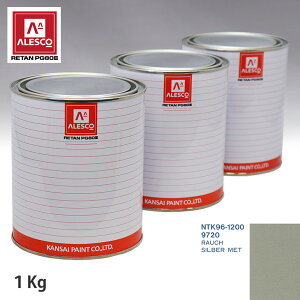 �֐��y�C���g PG80 ���F �����Z�f�X �x���c 9720 RAUCH SILBER MET 1kg�i���t�j �X�v���[�K�� �h�� �����ԓh�� �����ԗp�h�� �X�v���[�K���p�h�� �����ԃy�C���g
