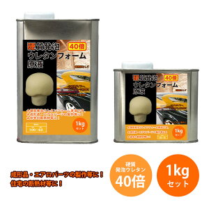 PROST dAE^tH[t 40{ 1kgZbg/A E^ ^ GA 40{