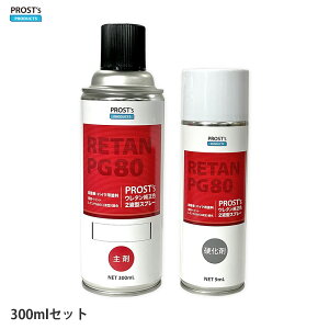 PROST's E^F 2t^Xv[ VOLKSWAGEN/AUDI LZ7L LAVA GRAY MET 300ml