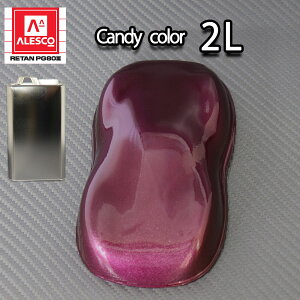 PG80 LfB[J[ oCIbg 2L /E^ h 2t@LfBoCIbg