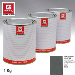 �֐��y�C���g PG80 ���F �z���_ NH-675M �}�O�l�V�E�� M 1kg�i���t�j �X�v���[�K�� �h�� �����ԓh�� �����ԗp�h�� �X�v���[�K���p�h�� �����ԃy�C���g