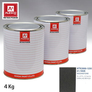 �֐��y�C���g PG80 ���F �[�l�������[�^�[�X 21/392E MOONSTONE 4kg�i���t�j �X�v���[�K�� �h�� �����ԓh�� �����ԗp�h�� �X�v���[�K���p�h�� �����ԃy�C���g