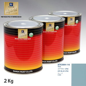 �֐��y�C���g �n�C�u���b�h ���F �j�b�T�� T11 �G�A�u���[2PM 2kg�i��ߍρj