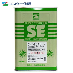 ^CZN[@12kg GXP[ ^C̉C ی