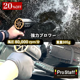 プロスタッフ LAD 超強力ブロワー (ハンド 洗車 ブロワー 強力 エアー 小型 コンパクト ブロアー マキタ 充電 式 洗車 水滴 コードレス ブロワー クリーナー 最強 ブロワー 洗車 エアー ブロアー 花粉)