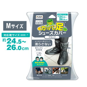 yVizJbp̑ V[YJo[ ubN@MELTCYiC ԗpi J K[fjO ] oCN ނ AEghA ʋ ʊw  D  RpNg Cu[cJo[ C