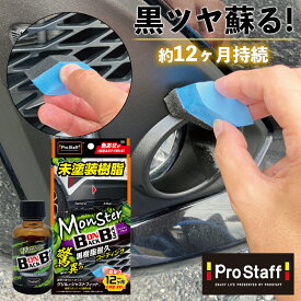 プロスタッフ 色あせた 樹脂パーツ を黒ツヤに！モンスター バックオンブラック（ゴム専用 車 クリーナー ツヤ出し 艶出し ドアゴム 窓ゴム 黒樹脂 ルーフゴム カークリーナー モール ホース グリル 未塗装樹脂 キズ消し 傷消し 保護コート UV吸収 日焼け ）【SG】