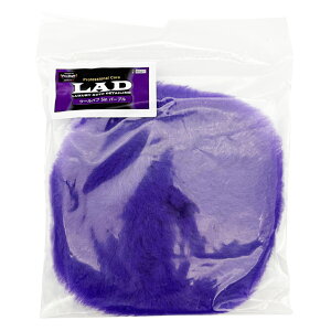 vX^bt LAD E[ot 5in p[v