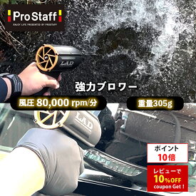【ポイント10倍】プロスタッフ LAD 超強力ブロワー (ハンド 洗車 ブロワー 強力 エアー 小型 コンパクト ブロアー マキタ 充電 式 洗車 水滴 コードレス ブロワー クリーナー 最強 ブロワー 洗車 エアー ブロアー 花粉)