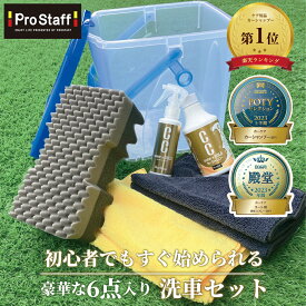 プロスタッフ 【送料無料】洗車 ビギナーを応援！お買い得 洗車セット (送料込 洗車バケツ 洗車台 コーティング剤 洗車 お試し カー用品 女性 ビギナー初心者 カーシャンプー 洗車用バケツ 洗車用品 カー用品 メンテナンス 福袋 ハッピーバッグ 洗車シャンプー 洗剤 濃縮)