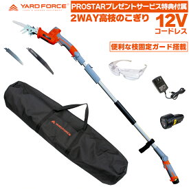 即日発送【機器収納バッグ ・替刃2種(2本)・ゴーグル付】 YARD FORCE 12Vコードレス 高枝 電動 2WAY のこぎり 高枝延長ポール・小枝固定ガード付 LSA30P-JP ＋「工具バッグ・日本製ブレード刃150～210mm長2種(2本)・他 付」 高枝 小枝切 竹伐 植木 用【Prostar/Pack】