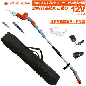 ���������y���[FIT�o�b�O �E�֐n2��(2�{)�E�S�[�O���t�z YARD FORCE 12V�R�[�h���X ���} �d�� 2WAY �̂����� ���}�����|�[���E���}�Œ�K�[�h�t LSA30P-JP �{�uFit�H��o�b�O�E���{���u���[�h�n150�`210