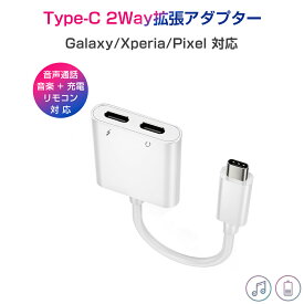 楽天市場】2in1 ケーブル type cの通販