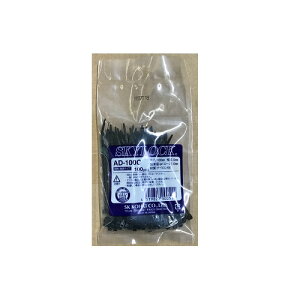 GXPCH@XJCbN όEϔM i100j@AD-100C@