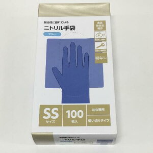 ȔPNARSTjg100 u[SSTCY