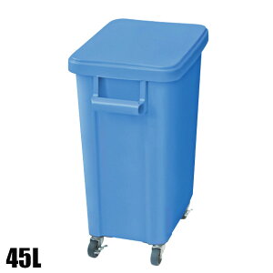 X ~[pLX^[y[ rt 45L u[ 505×305×595