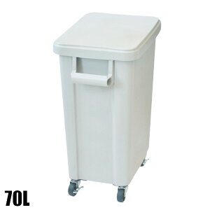 X ~[pLX^[y[ rt 70L O[ 570×350×695