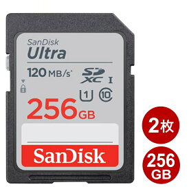 サンディスク SDXCカード 256GB 2枚セット ULTRA class10 150MB/s UHS-1 SDカード SanDisk 海外リテール SDSDUNC-256G-GN6IN-2P メール便送料無料