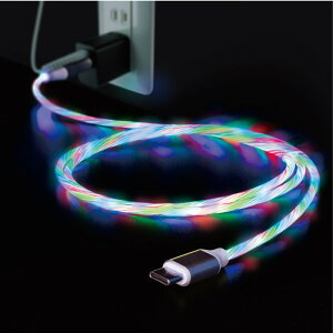 Ric Cg Type-C USBP[u 1m zCg USB2.0 2.0A [dp X}zP[u C021WH y[֑z