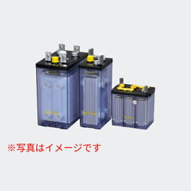 ＼ランキング受賞!!／ 【お取り寄せ】鉛蓄電池 HS-100-6E GSユアサ