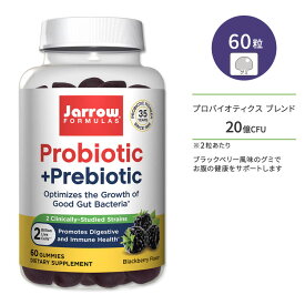 ジャローフォーミュラズ プロバイオティクス + プレバイオティクス 20億CFU 60粒 グミ ブラックベリー風味 Jarrow Formulas Probiotic+ Prebiotic サプリメント ブラックベリー 天然香料 ヘルスケア 美容ケア