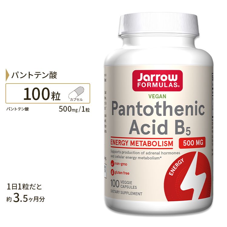 ビタミンB5 パントテン酸 カルシウム 500mg 100粒 約3ヶ月分 Jarrow Formulas Pantothenic Acid