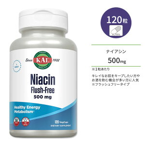 �J�� �i�C�A�V�� 500mg �t���b�V���t���[ 120�� �x�W�J�v�Z�� KAL Niacin Flush-Free 120 VegCaps �T�v�� �r�^�~��B B3 �w���X�P�A �̂Â��� ���N�T�|�[�g �G�l���M�b�V�� ���e �X�L���P�A �߂��� �r�[�K��