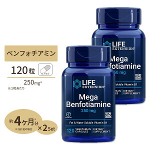 [2�Z�b�g]���C�t�G�N�X�e���V���� ���K�x���t�H�`�A�~�� �T�v�������g 250mg 120�� �x�W�^���A���J�v�Z�� Life Extension Mega Benfotiamine