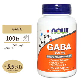 ギャバ(GABA) + ビタミンB6 500mg 100粒 NOW Foods(ナウフーズ)
