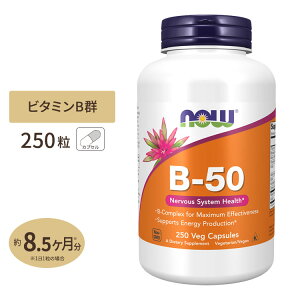 [5�Z�b�g]�i�E�t�[�Y B-50 �T�v�������g 250�� NOW Foods �r�^�~��B�Q11�� �t�_ �i�C�A�V�� �r�I�`�� �p���g�e���_ PABA �R���� �C�m�V�g�[�� �����T�C�Y �x�W�J�v�Z��