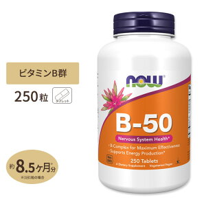 �i�E�t�[�Y B-50 �T�v�������g 250�� �^�u���b�g NOW Foods B-50 250 tablets �i�C�A�V�� �p���g�e���_ PABA �R���� �C�m�V�g�[�� �x�W�^���A��