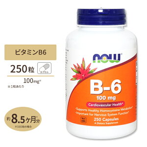 yő10%OFFN[|zr^~B6 100mg 250 NOW Foods (iEt[Y) Vitamin B-6 100mg - 250 Caps
