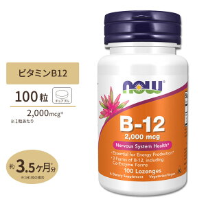 �r�^�~��B-12 2000mcg 100�� NOW Foods(�i�E�t�[�Y) B-12 2000 mcg 100 Lozenges