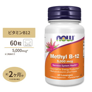 �r�^�~��B-12 5000mcg �t�_ 400mcg 60�� ��2�J���� NOW Foods(�i�E�t�[�Y) Vitamin B-12 5000mcg 60Lozenges