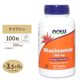 ナウフーズ ナイアシンアミド ビタミンB3 500mg 100粒 NOW Foods Niacinamide (B-3) イキイキとした毎日 エナジーチャージ 補酵素