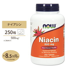 ナウフーズ ナイアシン サプリメント 500mg 250粒 NOW Foods Niacin タブレット