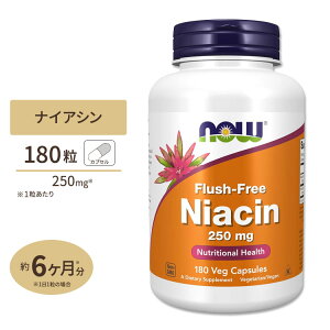 yő10%OFFN[|ziEt[Y tbVt[ iCAV 250mg 180 xWJvZ NOW Foods Flush-Free Niacin Veg Capsules r^~B3 B-3 m[tbV eT|[g