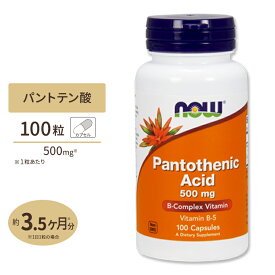 パントテン酸 (ビタミンB5) 500mg 100粒 NOW Foods(ナウフーズ)【注目】
