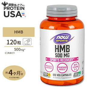 yő10%OFFN[|zHMB 500mg 120s3t NOW Foods(iEt[Y) HMB 500mg120Vcaps iEX|[c nowsports