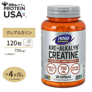 yő10%OFFN[|zNOW Foods NAJ NA` 120 JvZ iEt[Y Kre-Alkalyn Creatine 120Capsules iEX|[c nowsports
