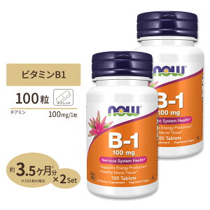 [2�Z�b�g] �r�^�~��B-1�i�`�A�~���j�@100mg 100�� NOW Foods Vitamin B-1 (Thiamine) 100mg 100tablets