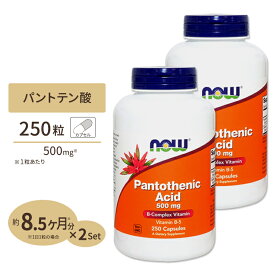 [2個セット] パントテン酸 500mg 250粒 NOW Foods(ナウフーズ)