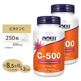 [2個セット] ナウフーズ ビタミンC-500 with ローズヒップ 500mg 250粒 NOW Foods Vitamin C-500 - 250 Tabs 2bottles set