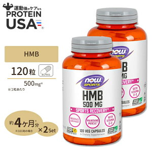 yő10%OFFN[|z[2Zbg] HMB 500mg 120s3t NOW Foods(iEt[Y) HMB 500mg120Vcaps 2bottles set iEX|[c nowsports