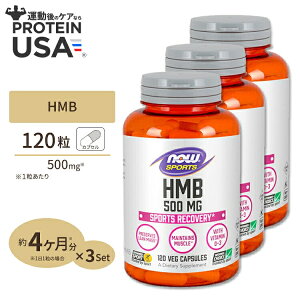yő10%OFFN[|z[3Zbg] HMB 500mg 120s3t NOW Foods(iEt[Y) HMB 500mg120Vcaps 3bottles set iEX|[c nowsports
