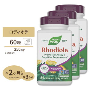 [3�Z�b�g] �l�C�`���[�Y�E�F�C ���f�B�I�� �G�l���M�[ 250mg �J�v�Z�� 60�� Nature's Way Rhodiola Energy ���[�A �G�L�X �n�[�u �C���x���P�C ���N�H�i �h�{�⏕�H�i