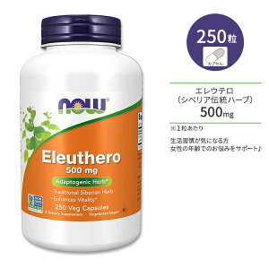 yő10%OFFN[|ziEt[Y GEe (VxA`n[u) 500mg xWJvZ 250 NOW Foods Eleuthero 500mg Veg Capsules VxAlQ G]ERM n[u
